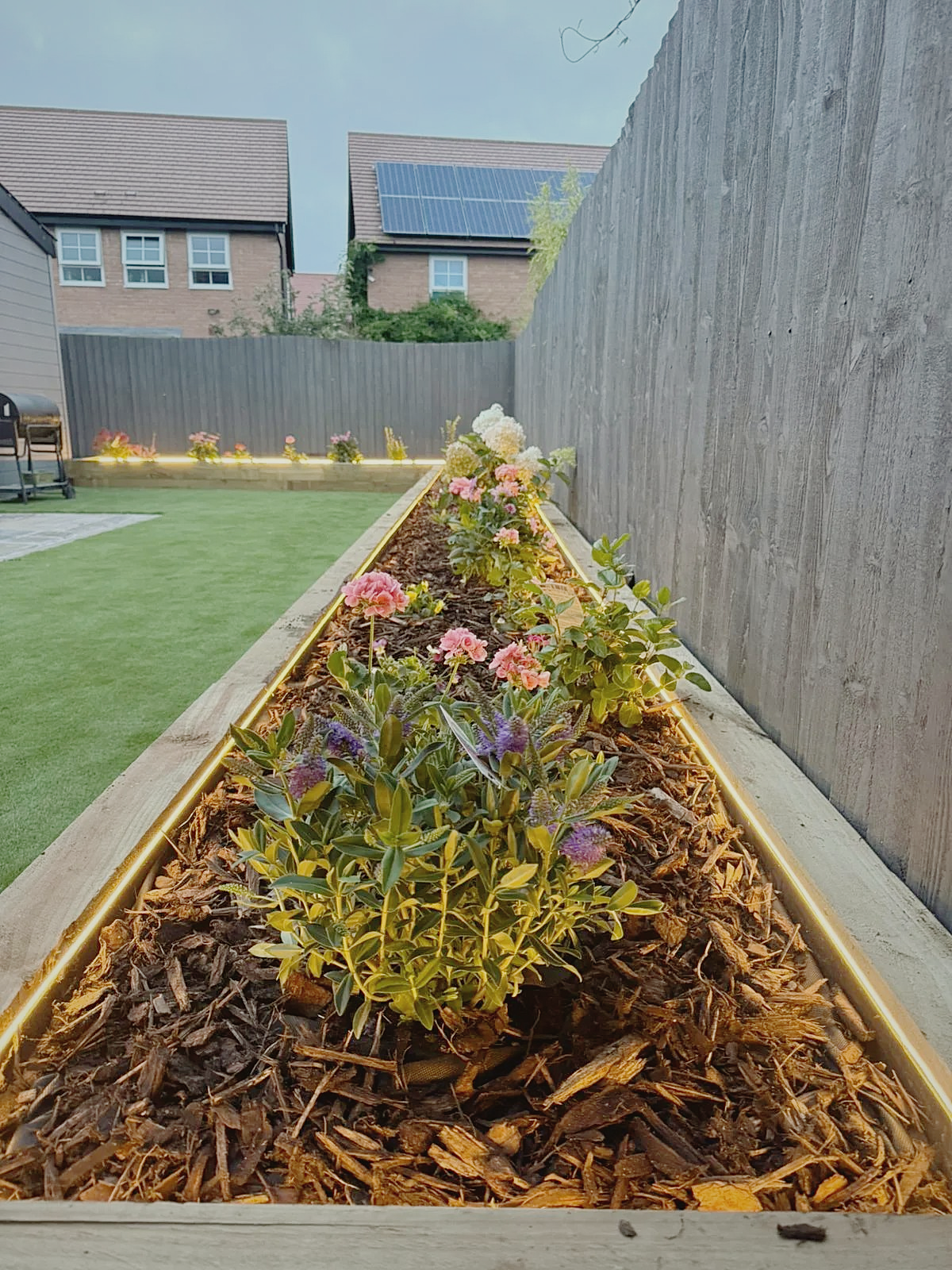 Raised Timber Planting Bed